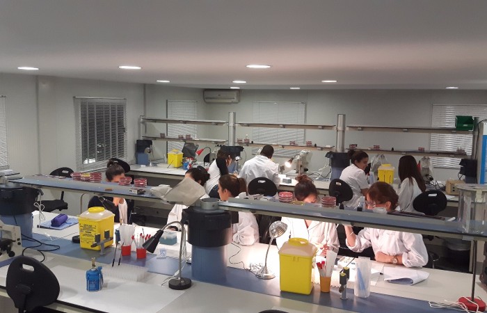 Diagnostic genotipic 2015-16 3