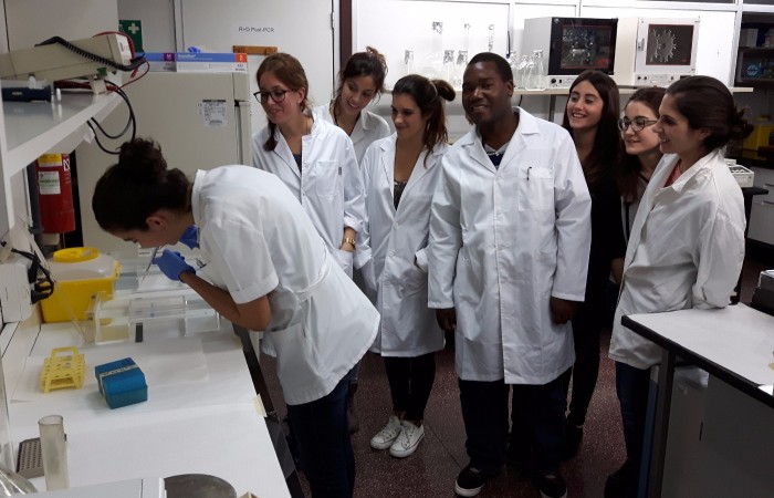 diagnostic genotpic 2015-16 4